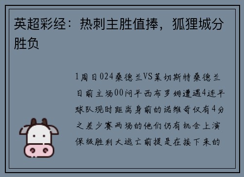 英超彩经：热刺主胜值捧，狐狸城分胜负